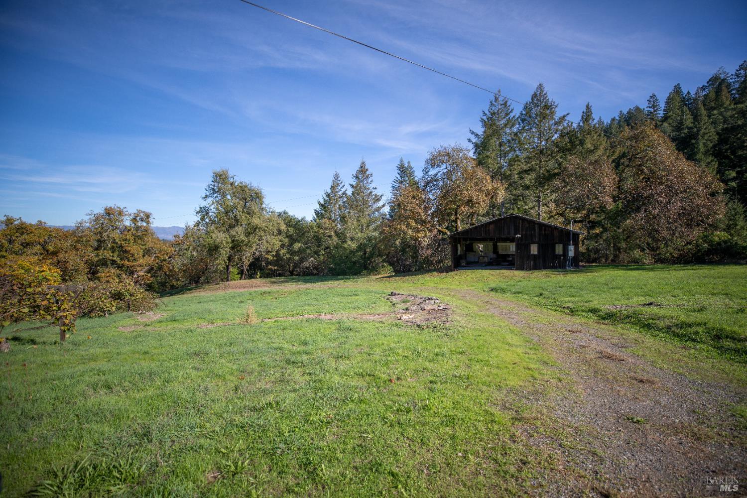 2300 Brack Road Healdsburg, CA 95448 - Photo 20 of 41 a view of field with trees in the background