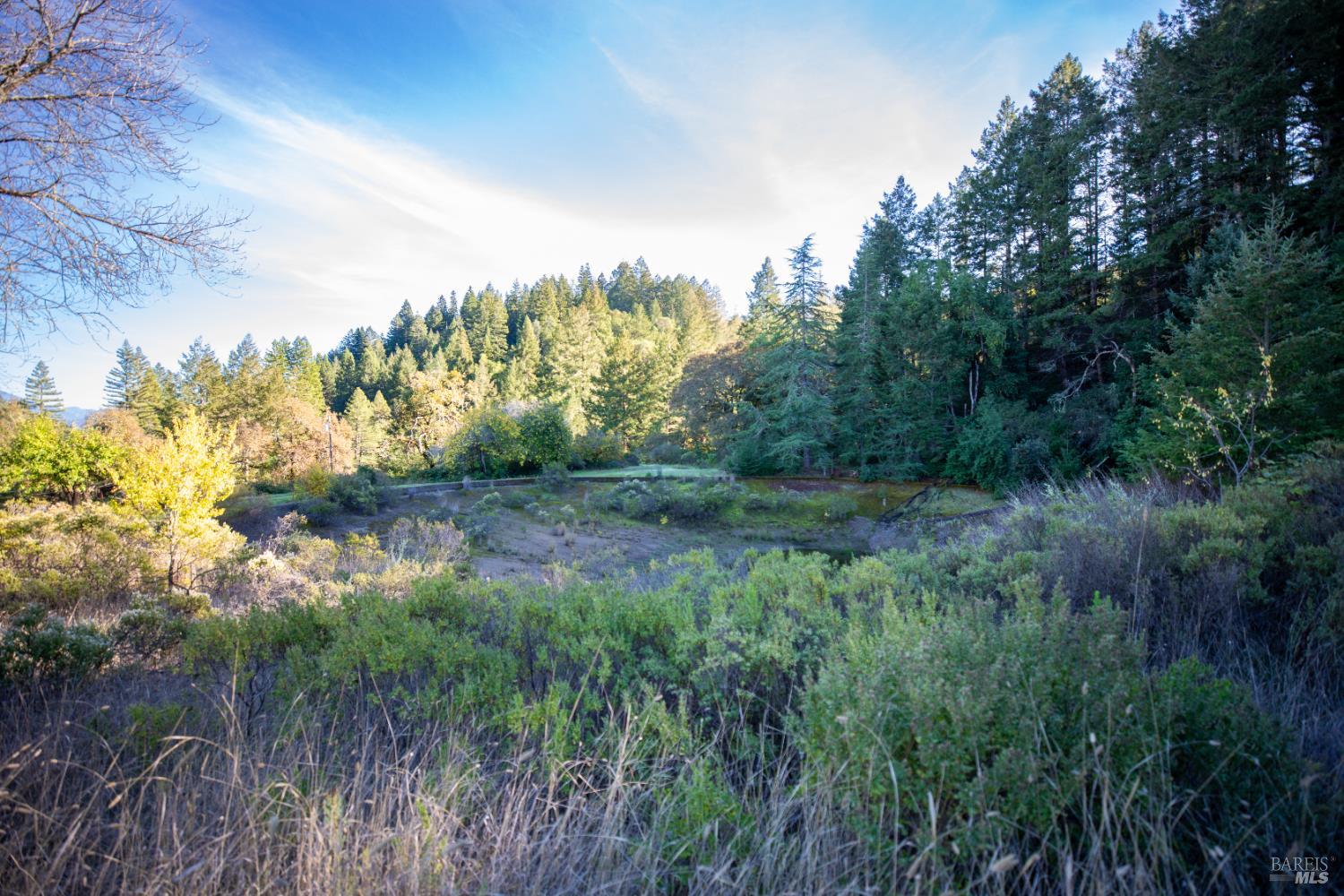 2300 Brack Road Healdsburg, CA 95448 - Photo 22 of 41 a view of a yard with a tree