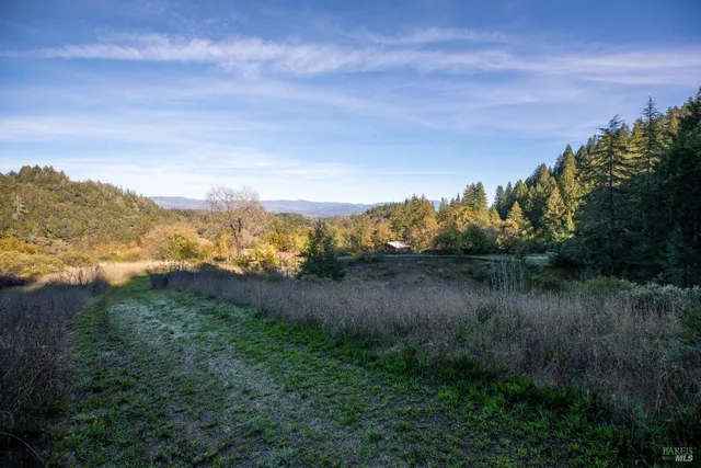 a view of a forest with mountains in the background