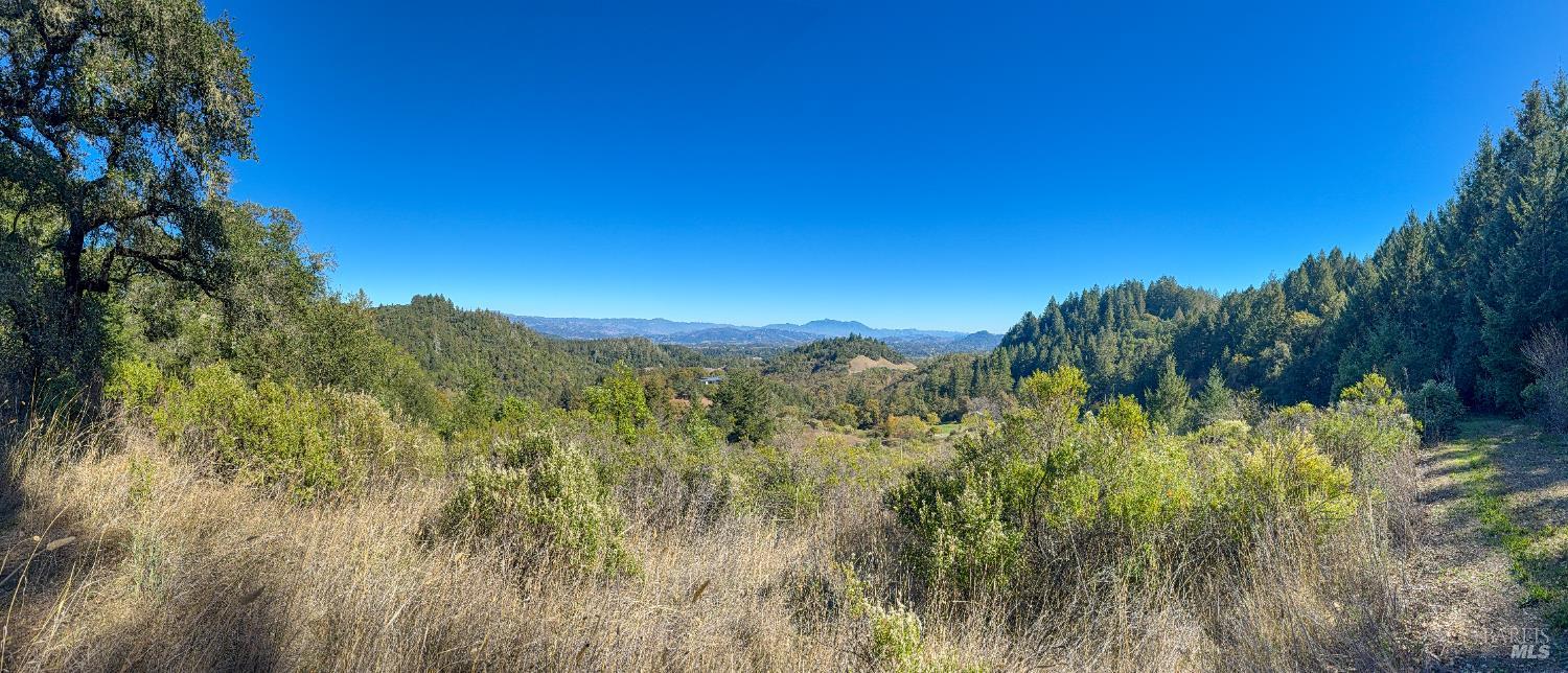 2300 Brack Road Healdsburg, CA 95448 - Photo 26 of 41 a view of a forest