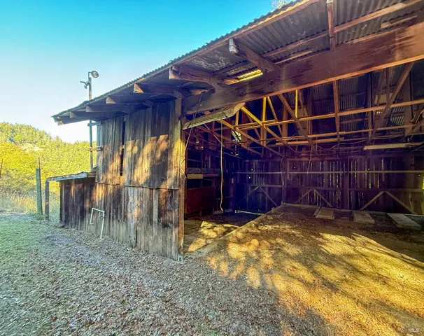 a view of a tree with a yard