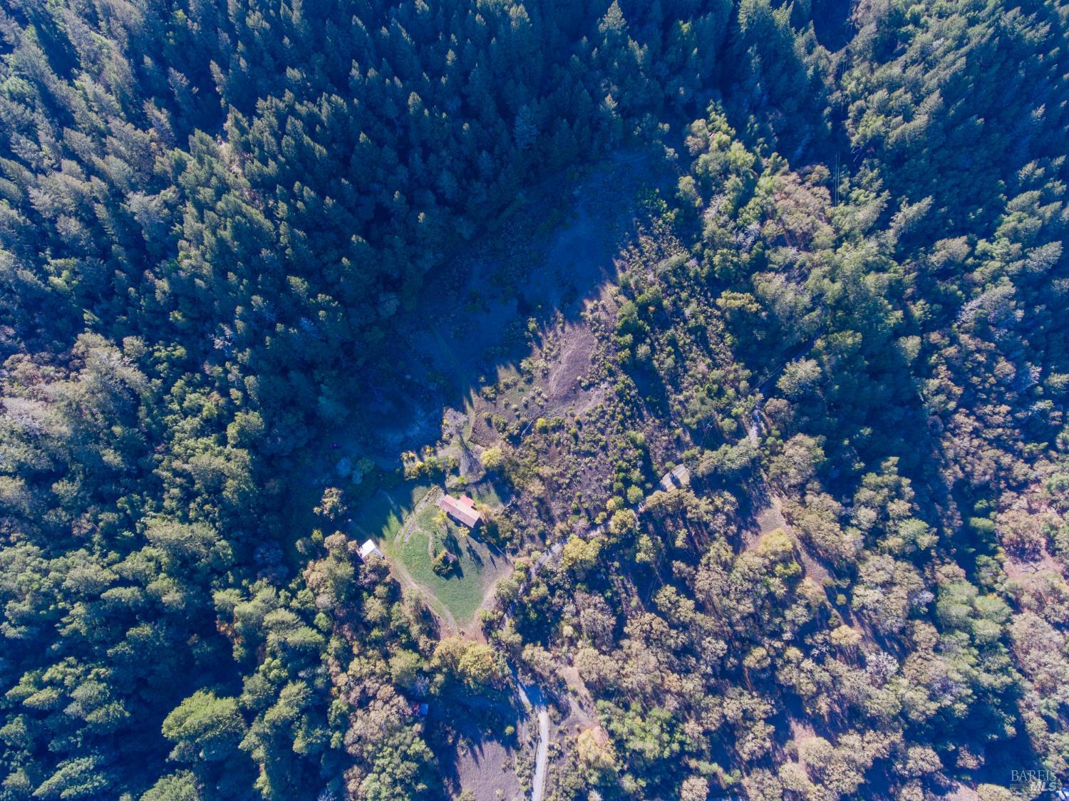 2300 Brack Road Healdsburg, CA 95448 - Photo 34 of 41 a picture of tree