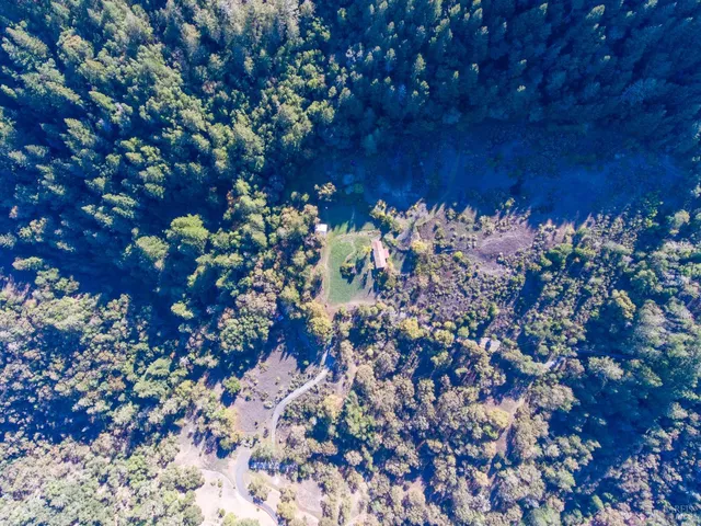 a view of a yard with a yard