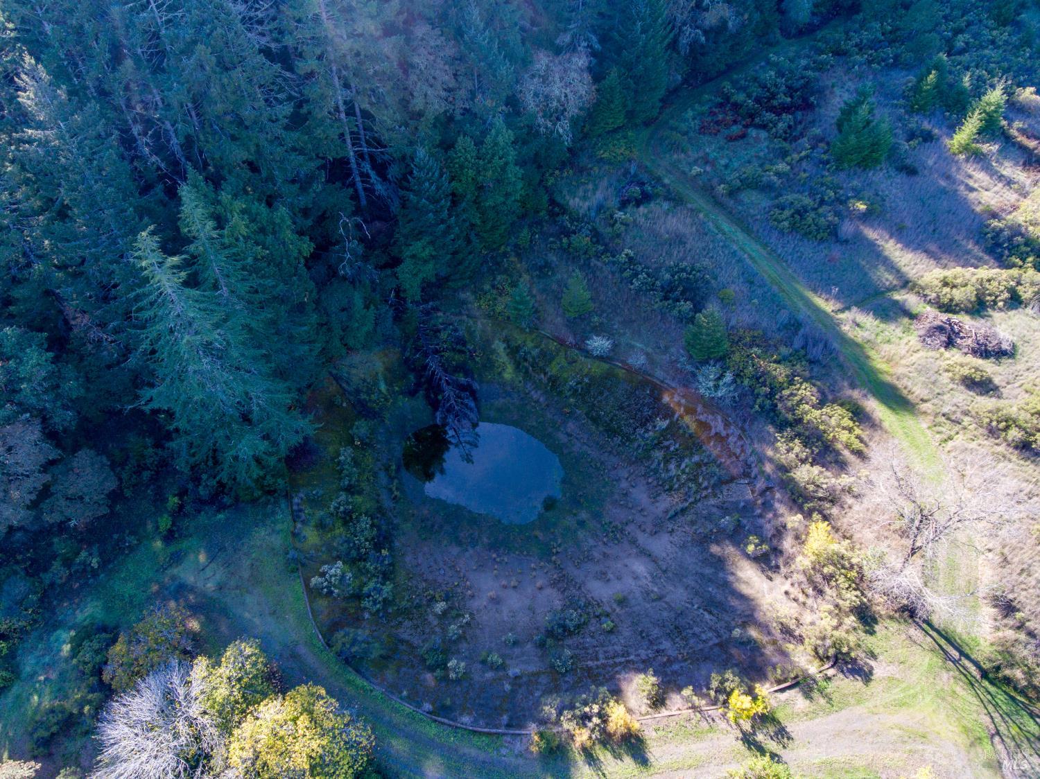 2300 Brack Road Healdsburg, CA 95448 - Photo 36 of 41 a view of a yard with a yard