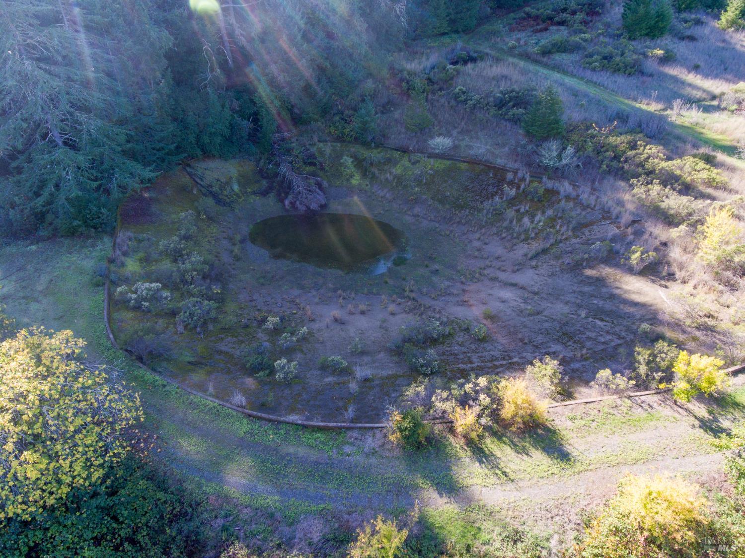 2300 Brack Road Healdsburg, CA 95448 - Photo 37 of 41 a view of a yard