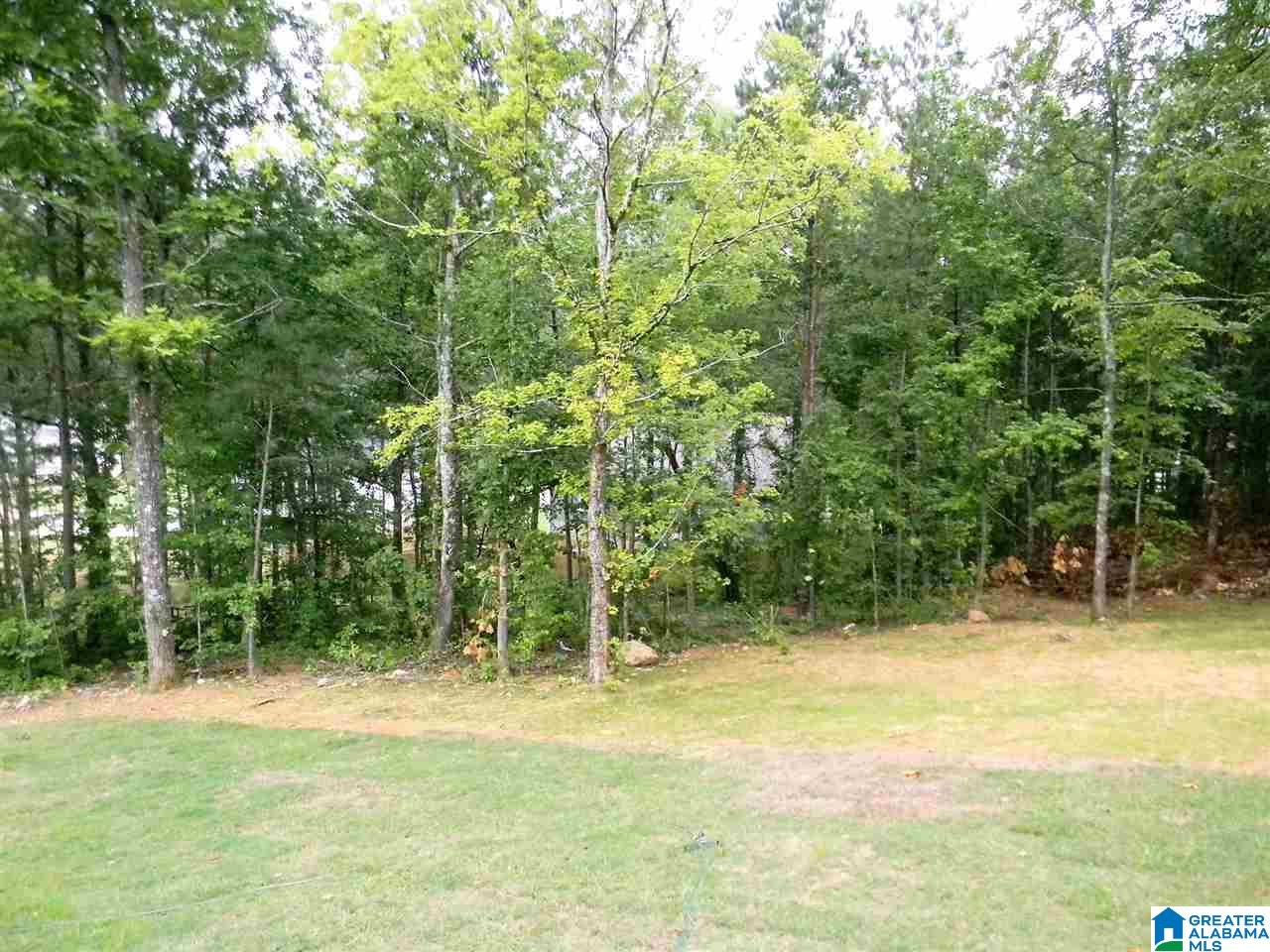 60 Joabs Way Springville, AL 35146 - Photo 28 of 30