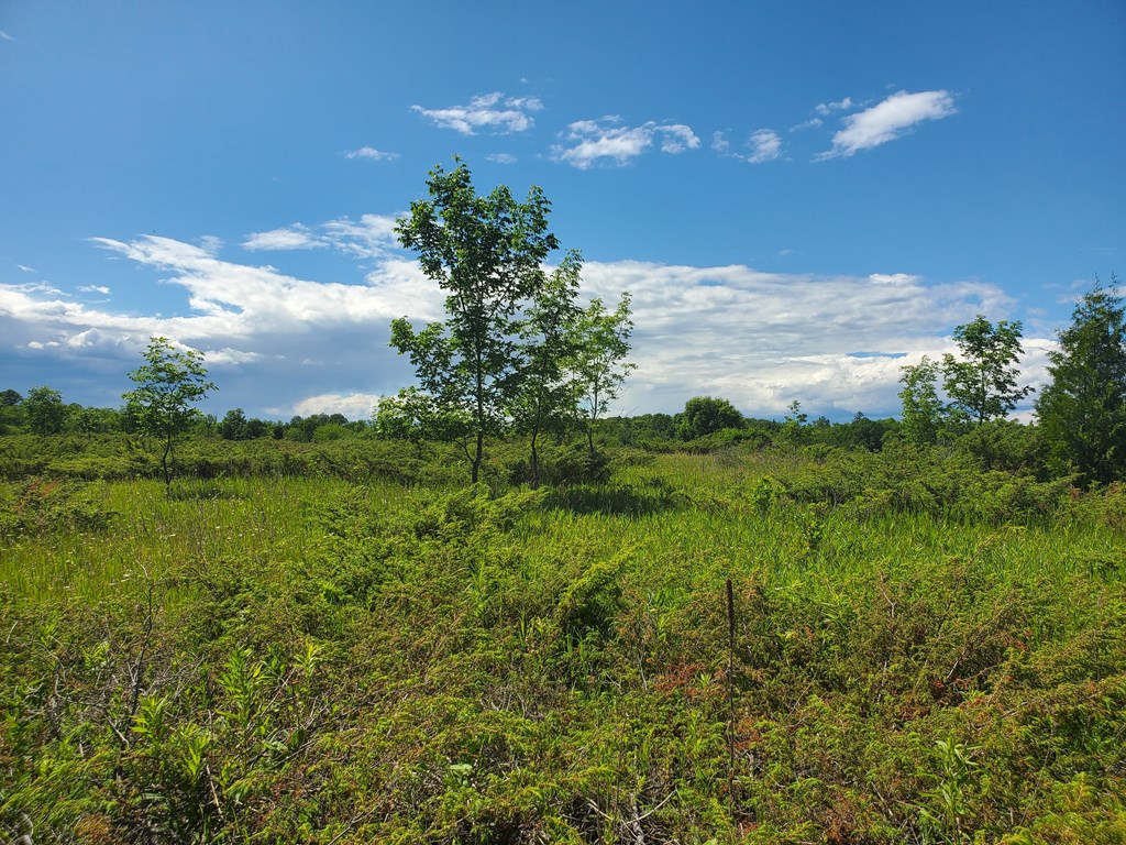 Lot 14 Timberline Road Ellison Bay, WI 54210 - Photo 2 of 9