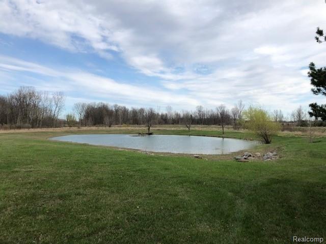 8420 Reed Road New Lothrop, MI 48460 - Photo 14 of 17 Pond.jpg