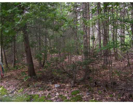51 Porcupine Road Sullivan, ME 04664 - Photo 2 of 4 Land.