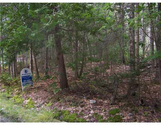 51 Porcupine Road Sullivan, ME 04664 - Photo 3 of 4 Land.