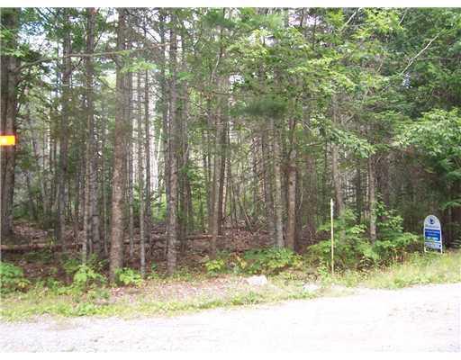 51 Porcupine Road Sullivan, ME 04664 - Photo 4 of 4 Land.