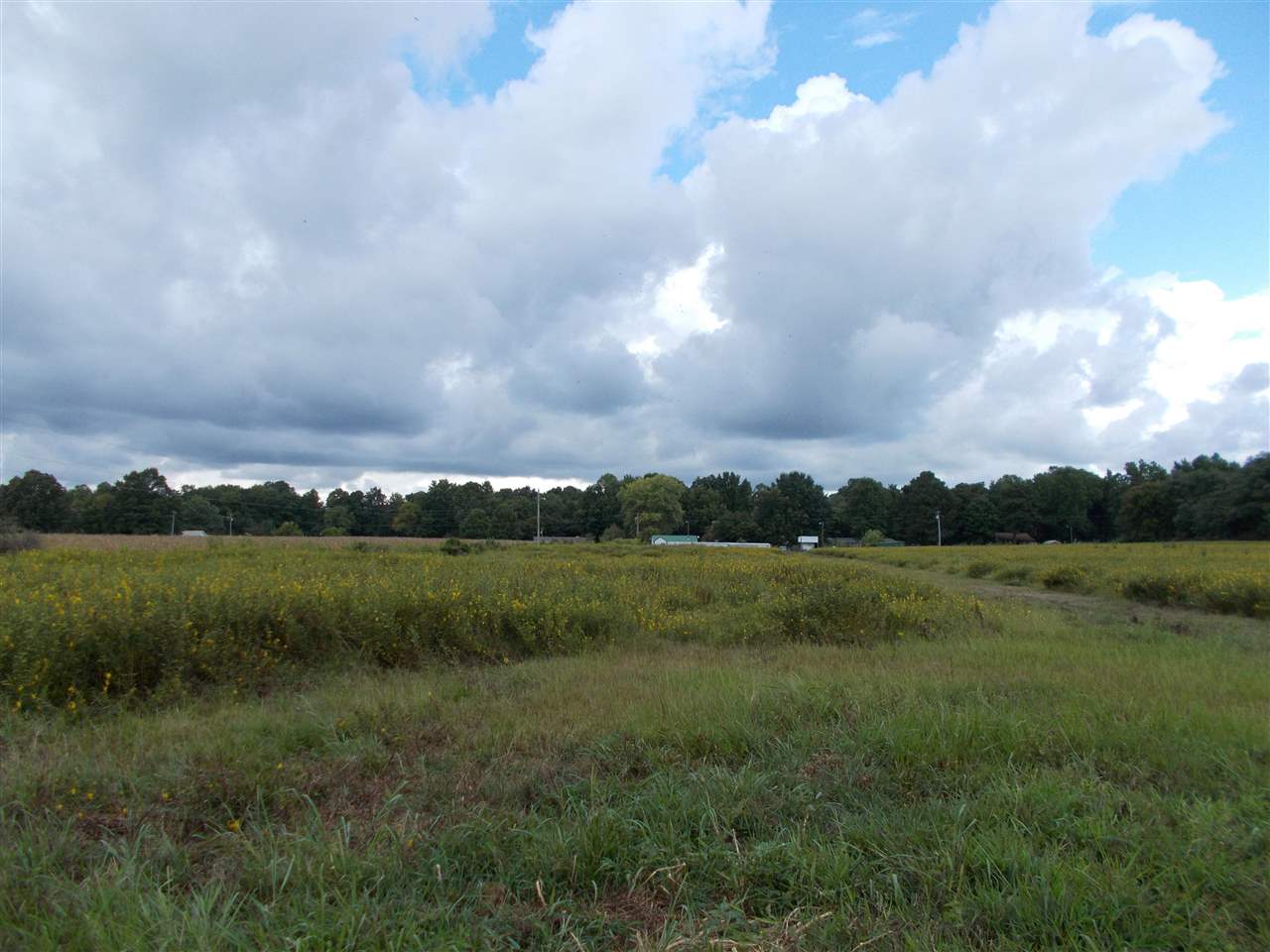 2000 Walnut Grove Road Ripley, TN 38063 - Photo 14 of 15