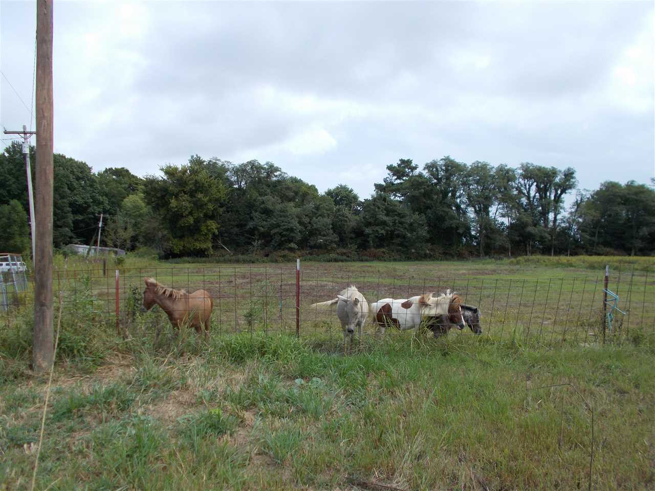 2000 Walnut Grove Road Ripley, TN 38063 - Photo 3 of 15