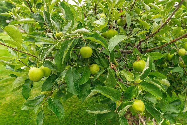 $1,274,900 | 2145 West Grange Avenue, Post Falls, ID 83854