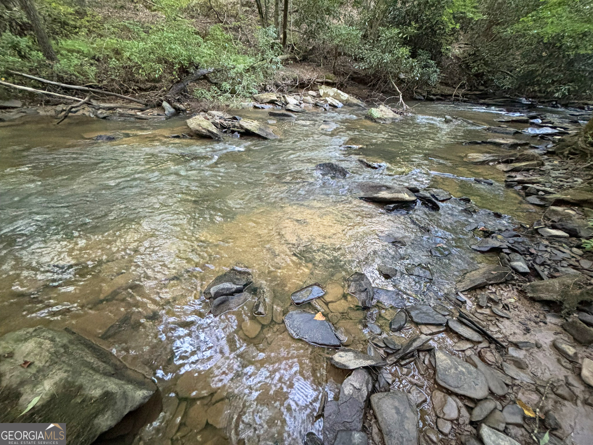 Lot 18 Mt Springer Road Ellijay, GA 30540 - Photo 25 of 31