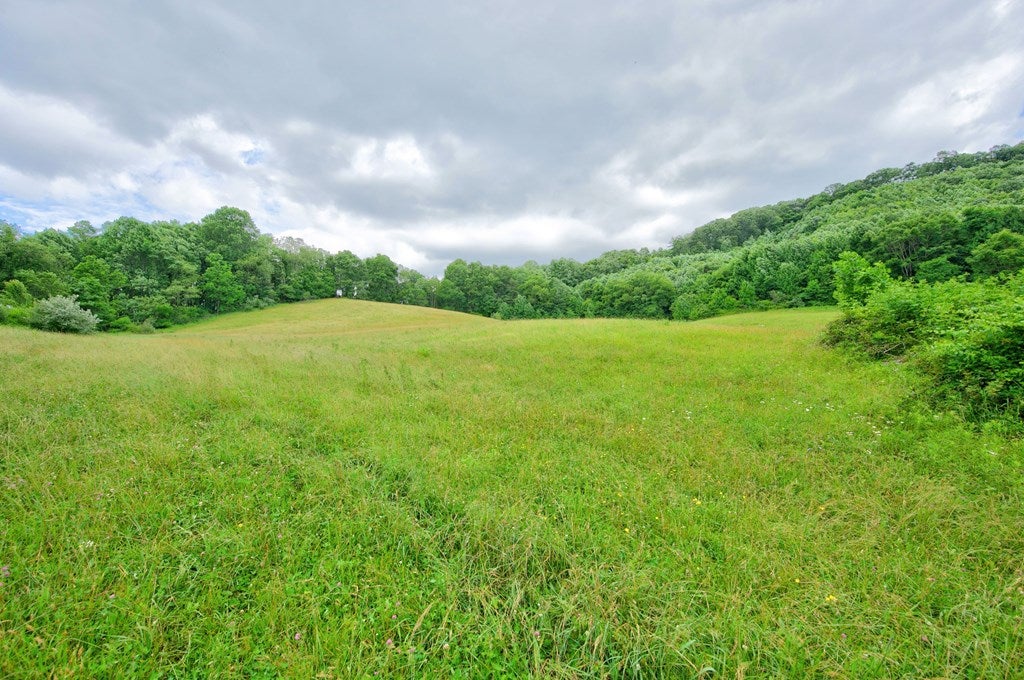 Tbd Goodpasture Hollow Road Marion, VA 24354 - Photo 37 of 38 Gallery Image 37