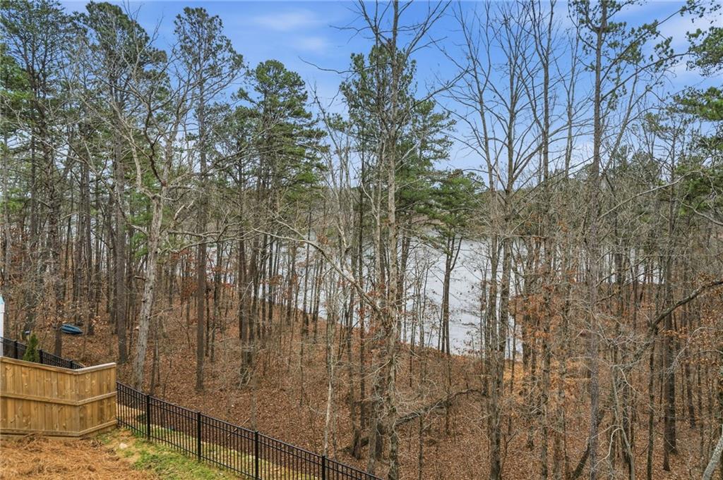 338 Boundless Lane Canton, GA 30114 - Photo 8 of 63