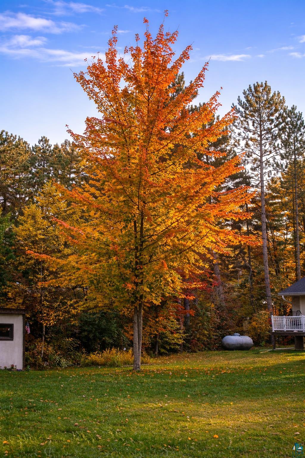3975 Long Lake Shores Road Eveleth, MN 55734 - Photo 77 of 79 View of green lawn