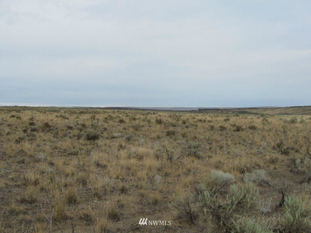 0 Pinto Ridge Road Northeast Soap Lake, WA 98851 - Photo 1 of 3 Gallery Image 1