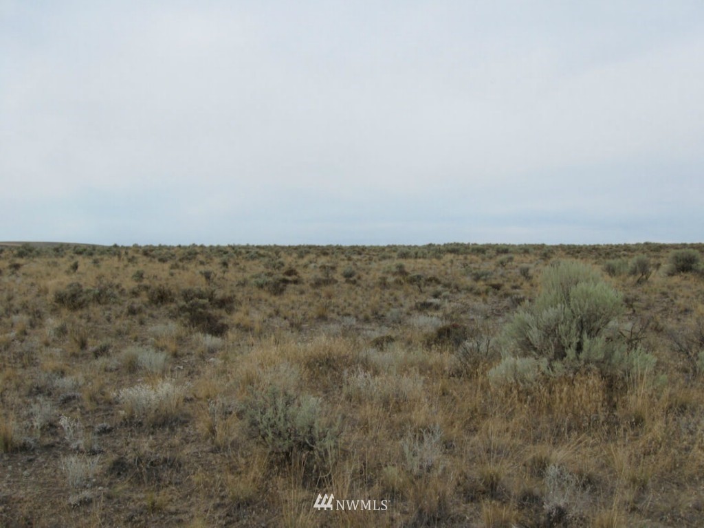 0 Pinto Ridge Road Northeast Soap Lake, WA 98851 - Photo 2 of 3 Gallery Image 2