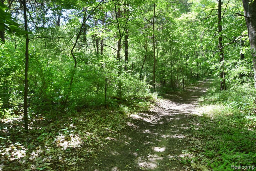 5298 Clear Lake Road North Branch, MI 48461 - Photo 43 of 44