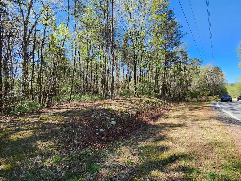 a view of a yard with plants and trees