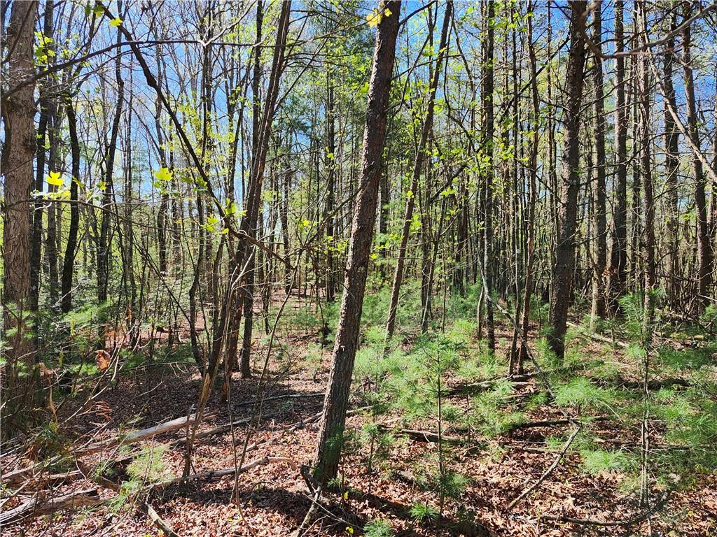 0 Afton Road Dawsonville, GA 30534 - Photo 11 of 28 a view of outdoor space and green space