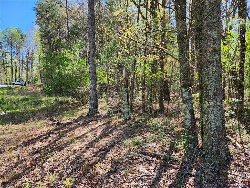 0 Afton Road Dawsonville, GA 30534 - Photo 12 of 28 a view of a forest filled with trees