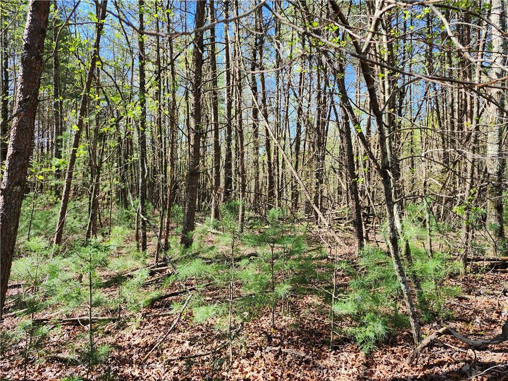 0 Afton Road Dawsonville, GA 30534 - Photo 14 of 28 a view of yard