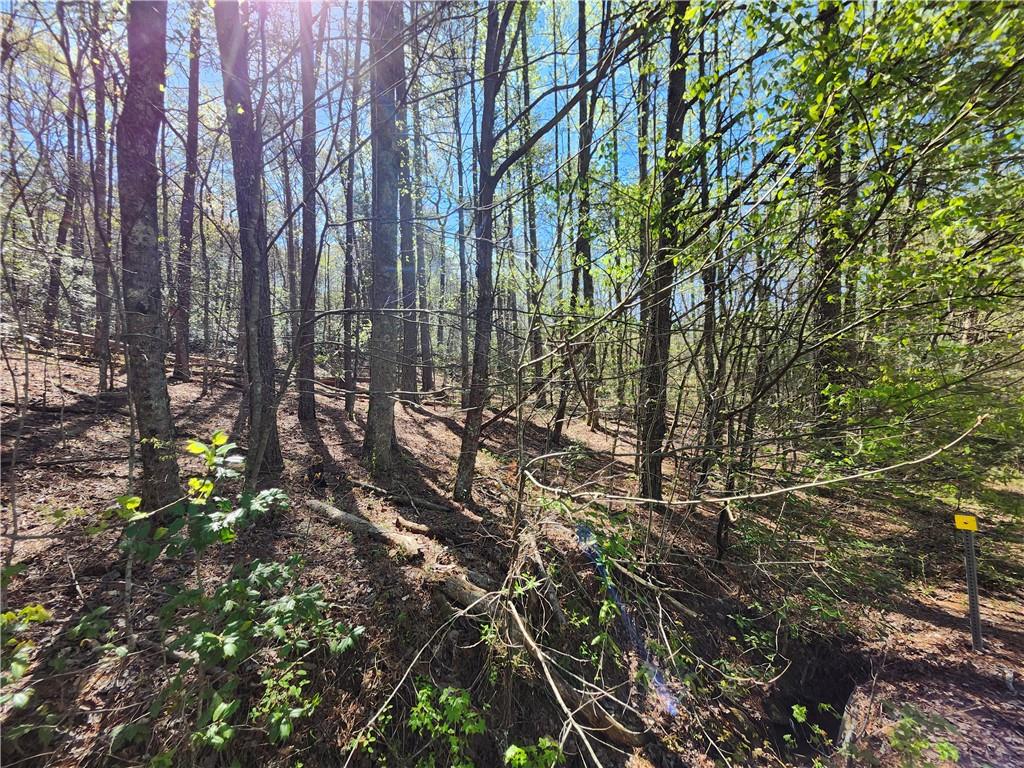 0 Afton Road Dawsonville, GA 30534 - Photo 15 of 28 a view of forest