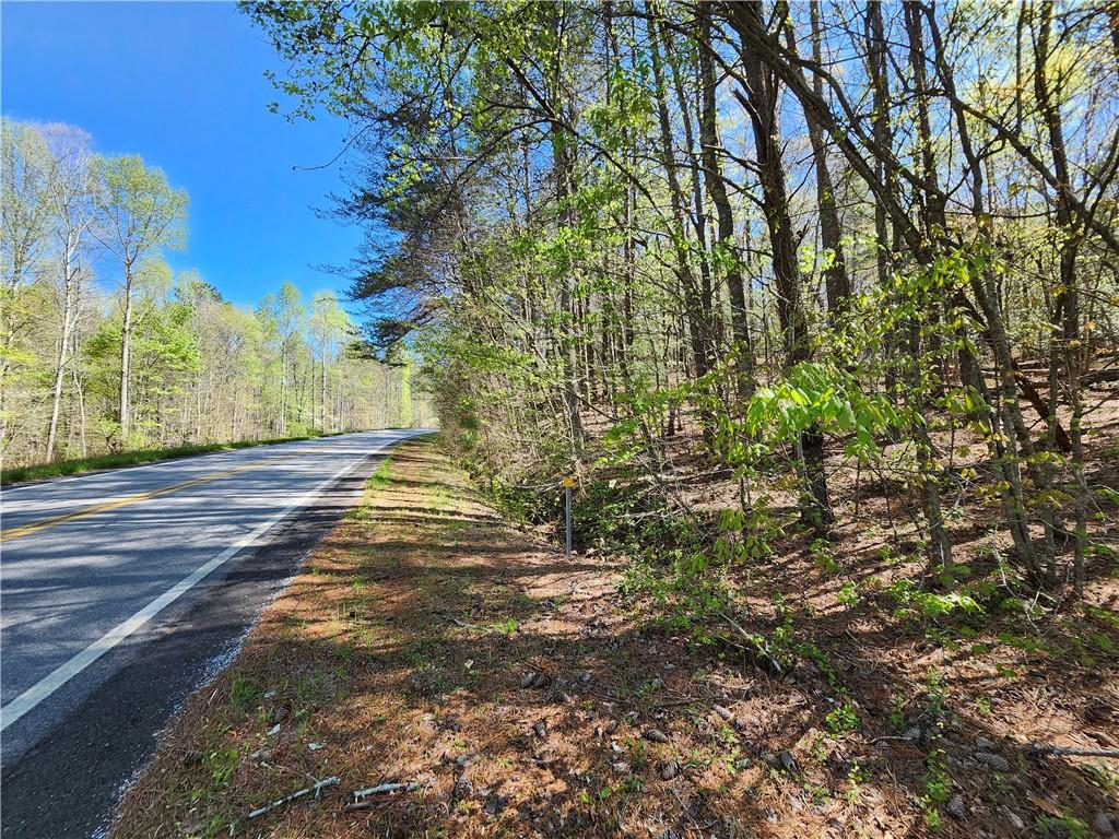 0 Afton Road Dawsonville, GA 30534 - Photo 18 of 28 a view of yard with tree s