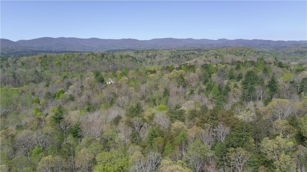 0 Afton Road Dawsonville, GA 30534 - Photo 20 of 28 a view of a forest with a street