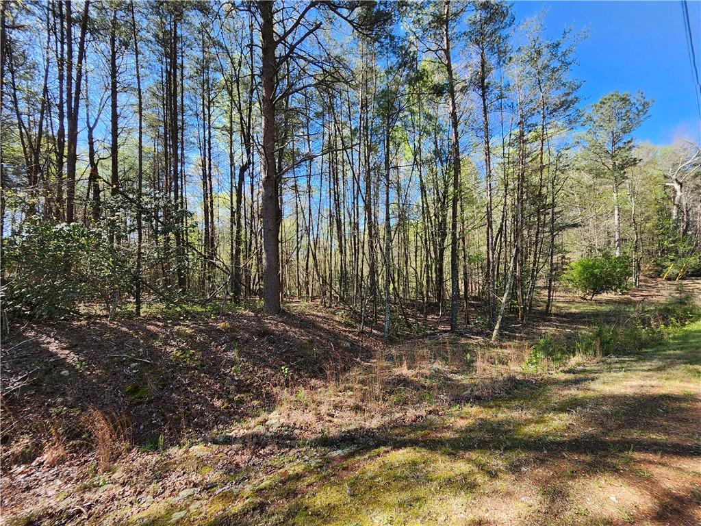 0 Afton Road Dawsonville, GA 30534 - Photo 2 of 28 a backyard of a house with lots of green space