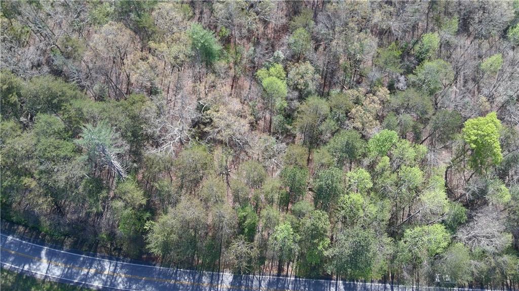 0 Afton Road Dawsonville, GA 30534 - Photo 21 of 28 a view of a forest with a street