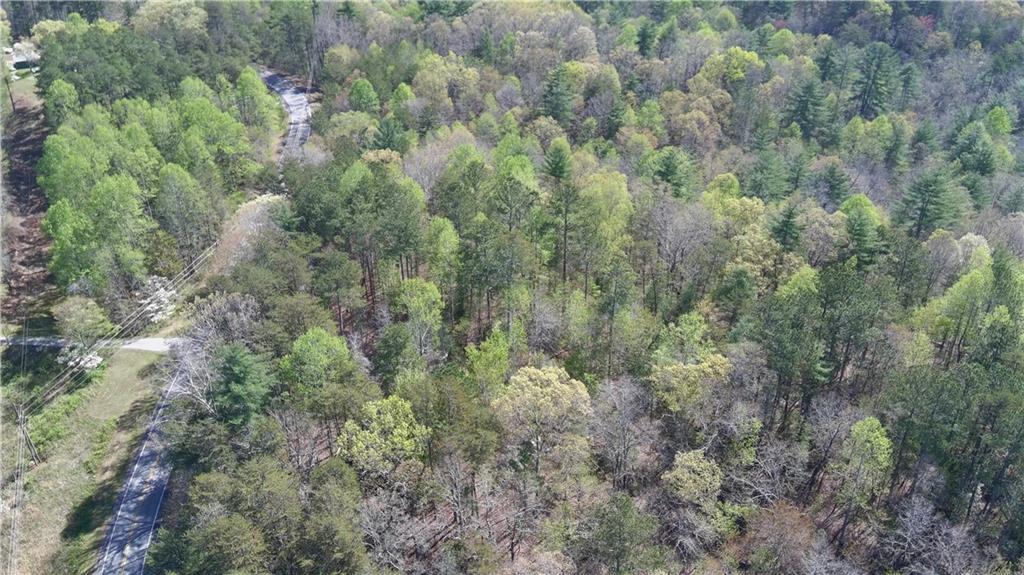 0 Afton Road Dawsonville, GA 30534 - Photo 22 of 28 a view of a forest with trees all around