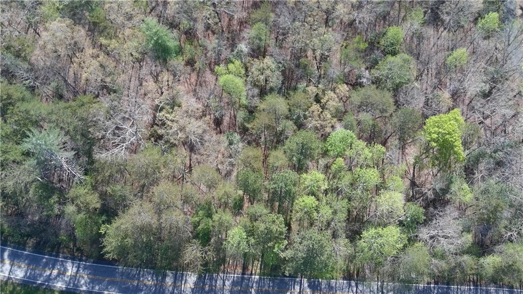 0 Afton Road Dawsonville, GA 30534 - Photo 24 of 28 a view of a forest with trees and houses