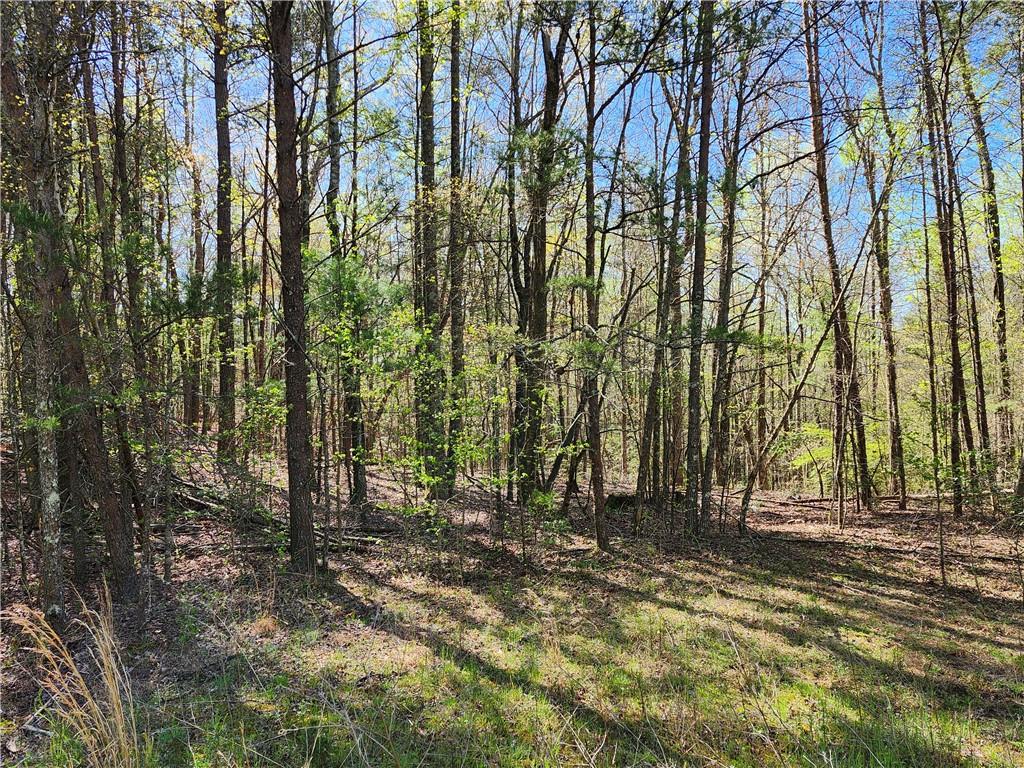 0 Afton Road Dawsonville, GA 30534 - Photo 3 of 28 a view of backyard with green space