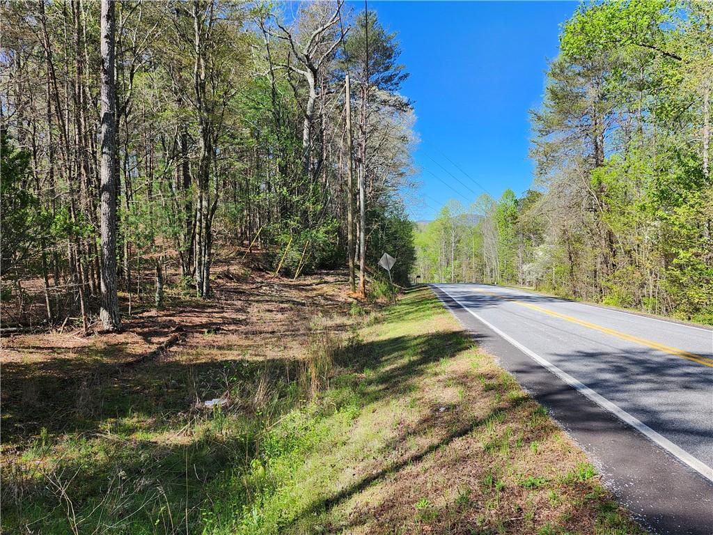0 Afton Road Dawsonville, GA 30534 - Photo 4 of 28 a view of a yard with large trees