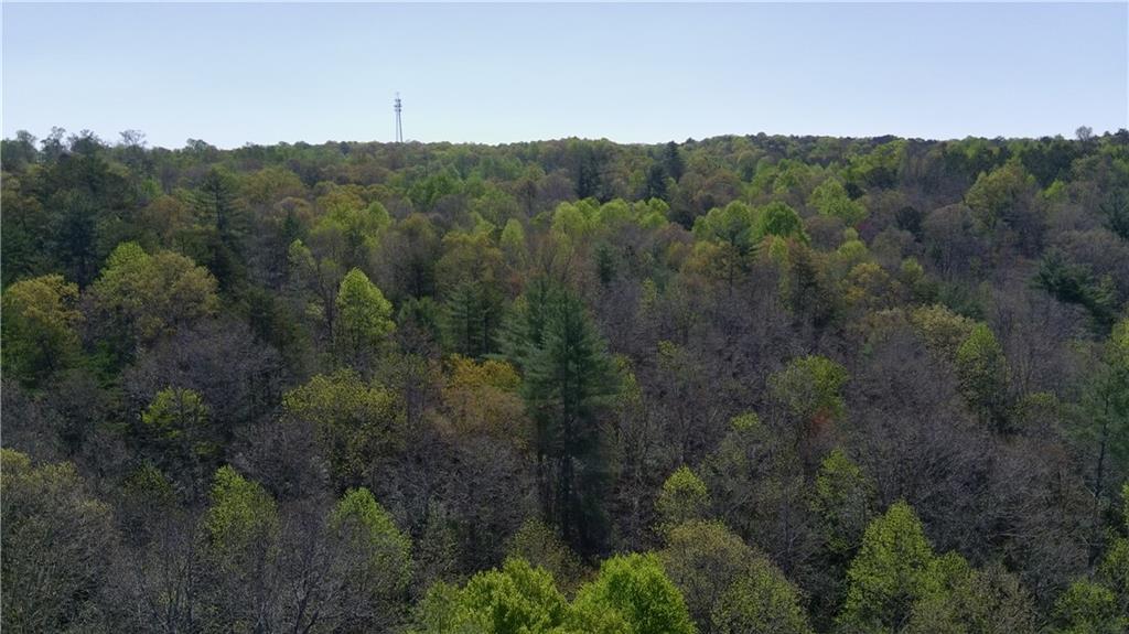 0 Afton Road Dawsonville, GA 30534 - Photo 6 of 28 a view of a city with lush green forest