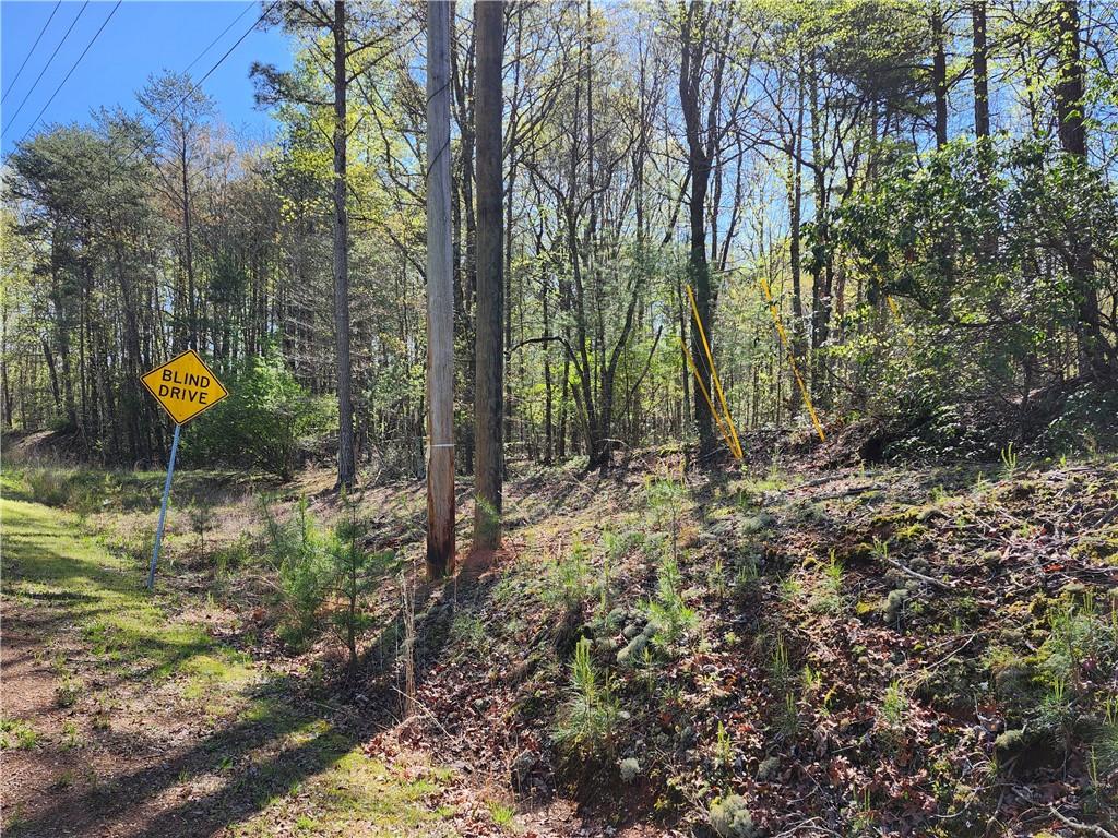 0 Afton Road Dawsonville, GA 30534 - Photo 7 of 28 a view of a forest with a tree