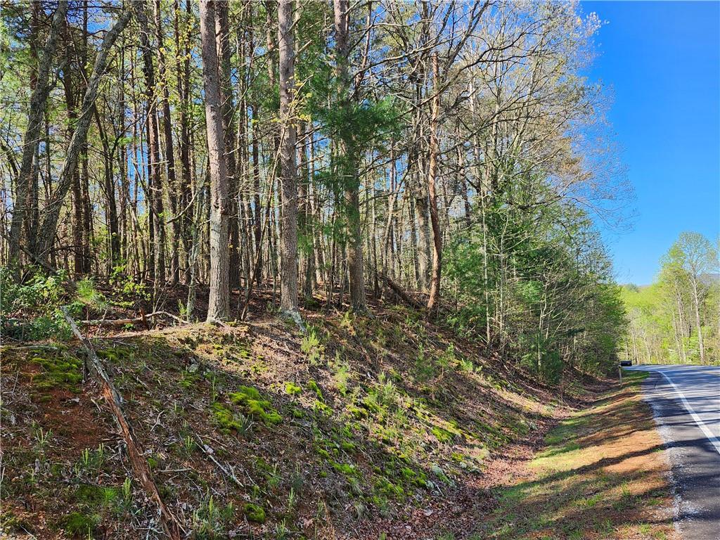 0 Afton Road Dawsonville, GA 30534 - Photo 8 of 28 a view of backyard with green space
