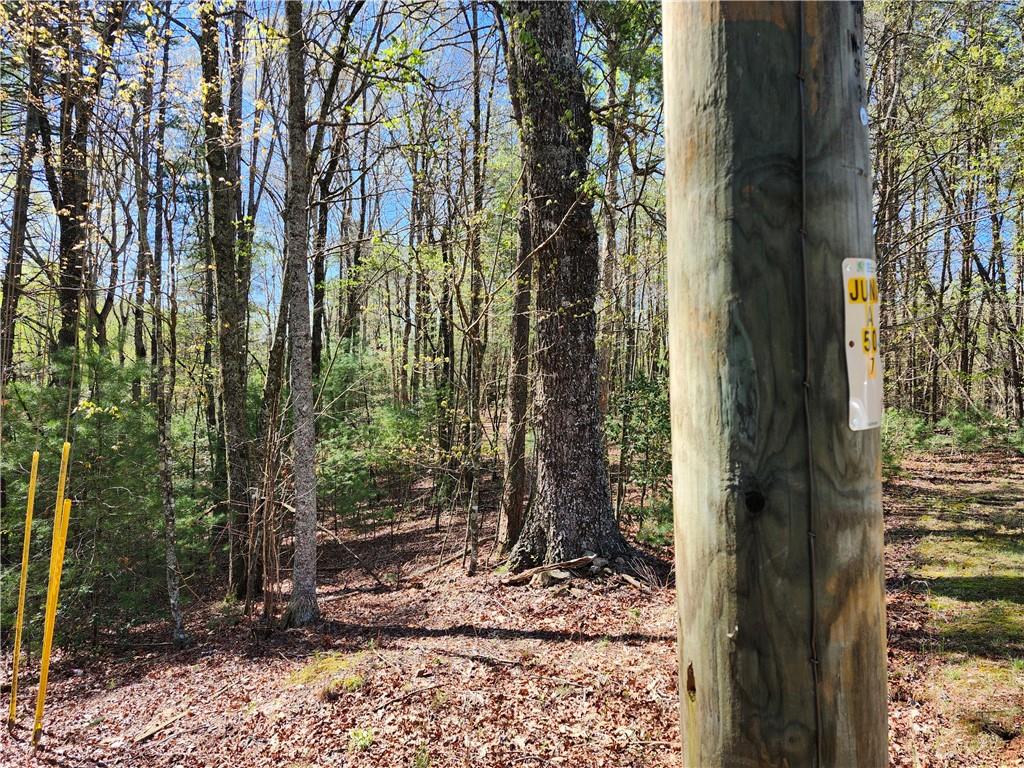 0 Afton Road Dawsonville, GA 30534 - Photo 10 of 28 a view of a yard with plants and brick wall