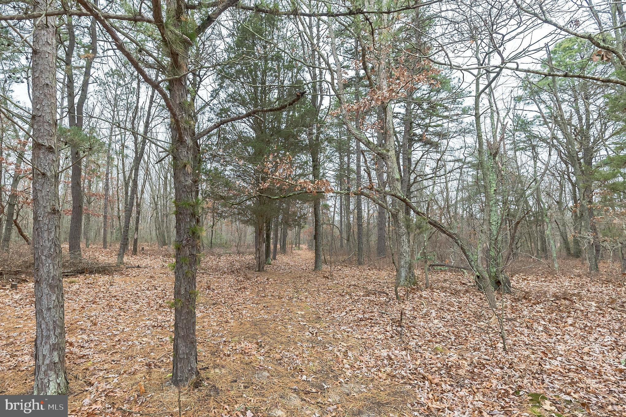 122 Norcross Road Berlin, NJ 08009 - Photo 28 of 28