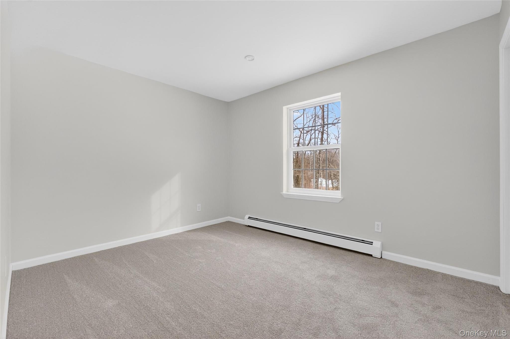 33 Berea Road Walden, NY 12586 - Photo 31 of 44 Empty room featuring a baseboard radiator and light carpet