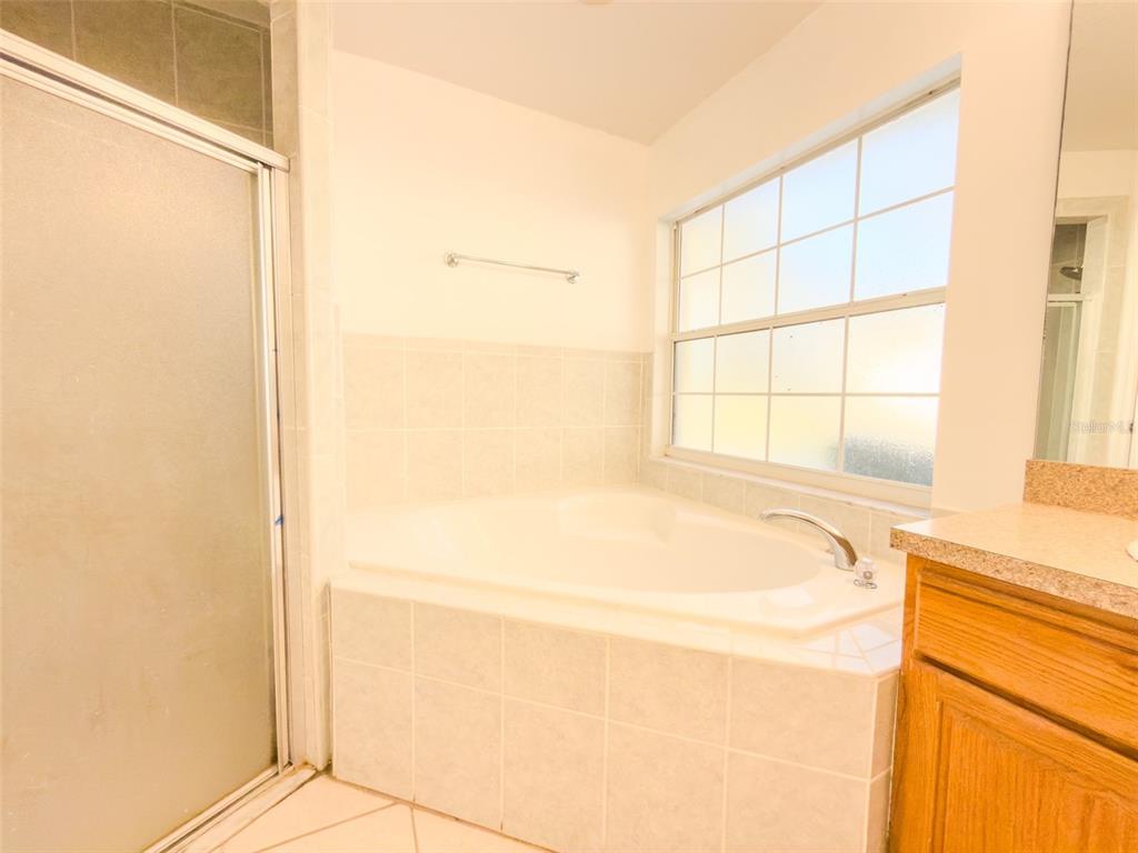 4 Weston Road Leesburg, FL 34748 - Photo 23 of 55 a bath tub sitting next to a window