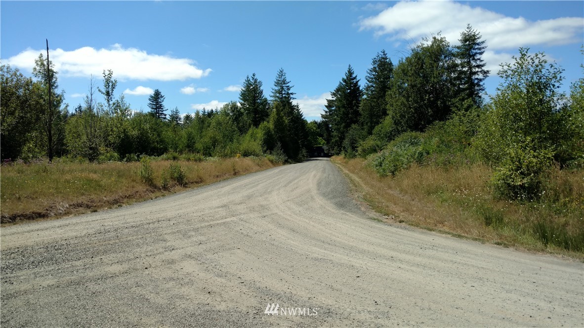 423 Brim Road Onalaska, WA 98570 - Photo 3 of 4 Gallery Image 3