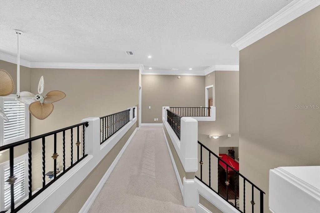 15707 Cochester Road Tampa, FL 33647 - Photo 69 of 95