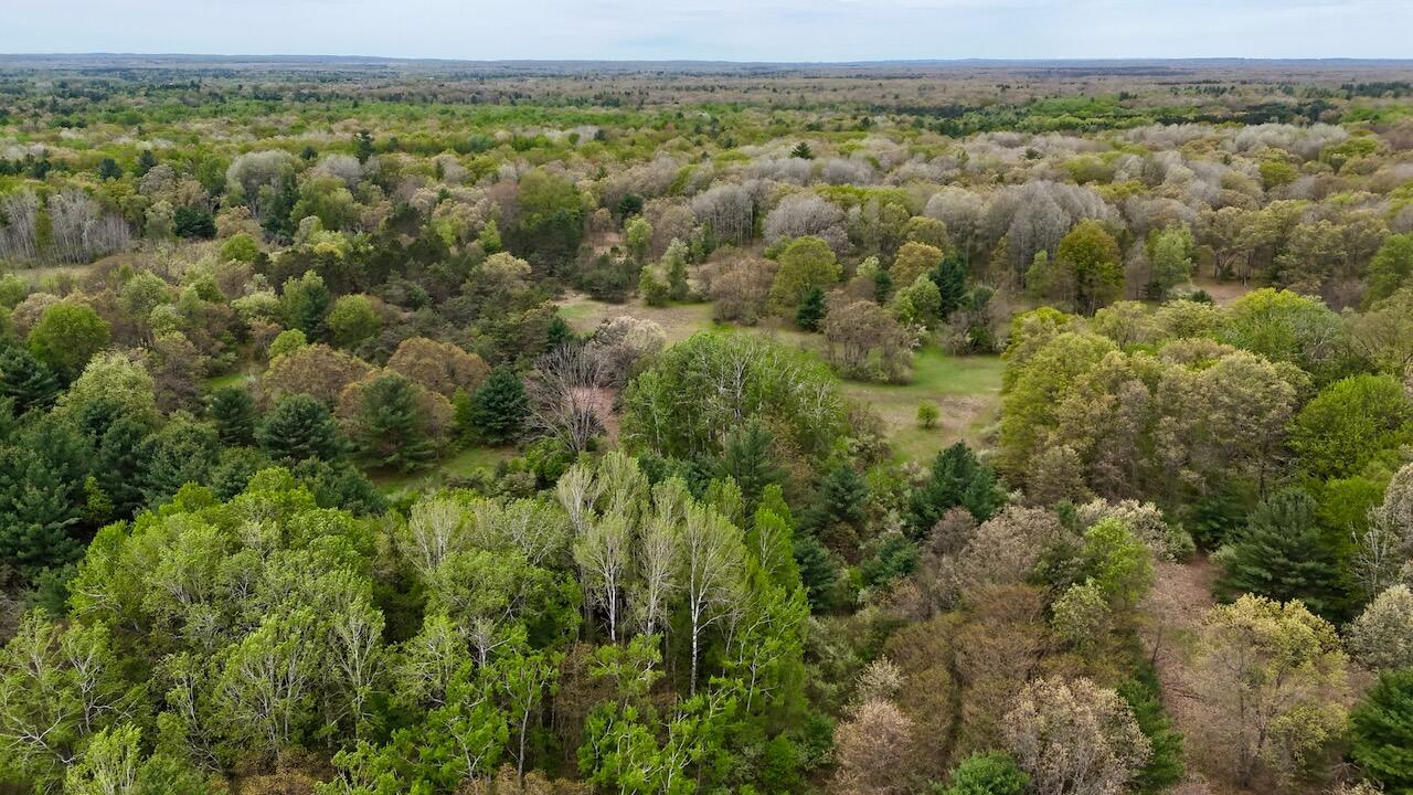 6153 South Branch Road Branch, MI 49402 - Photo 1 of 70 001