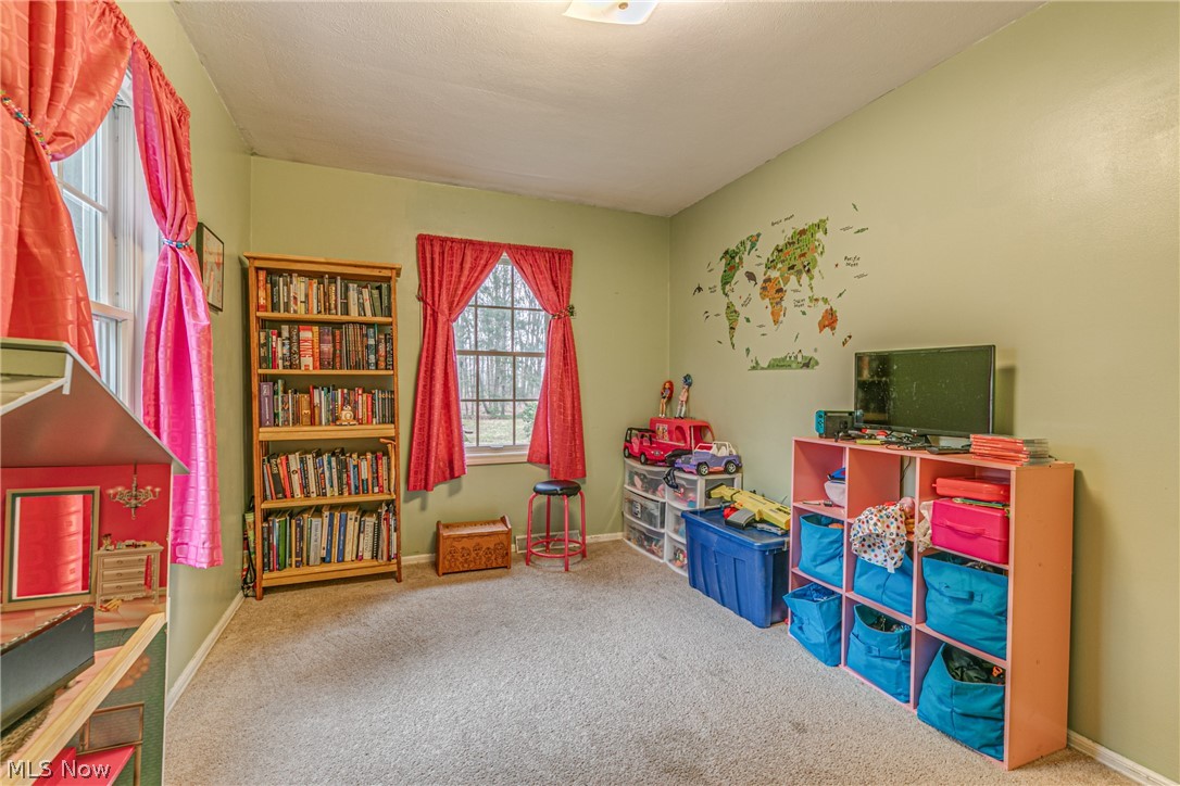 1223 South Beachview Road Willoughby, OH 44094 - Photo 19 of 35 Gallery Image 19