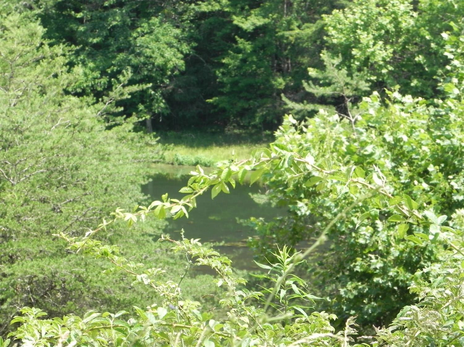 9999 Sasser School Road London, KY 40744 - Photo 35 of 53 Listing Photo